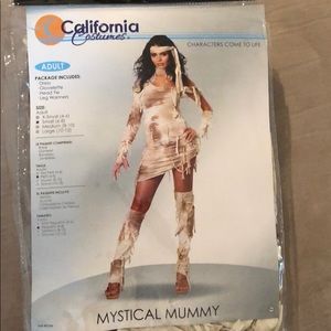 Mummy Halloween costume